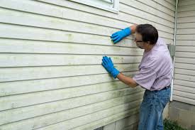 Best Custom Trim and Detailing for Siding  in Russell, GA